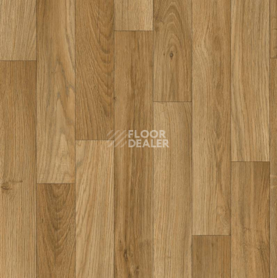 Линолеум IVC Eco Chianti 532 фото 1 | FLOORDEALER